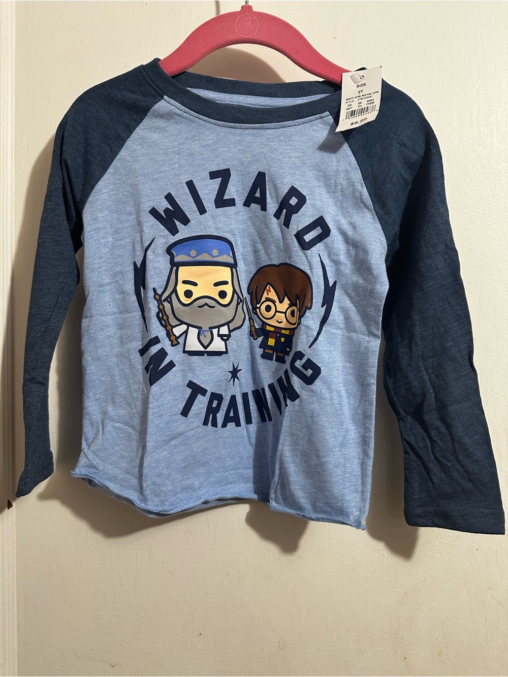 Warner Bros. "Wizard In Training" Raglan Long-Sleeve Tee - Light Blue & Navy